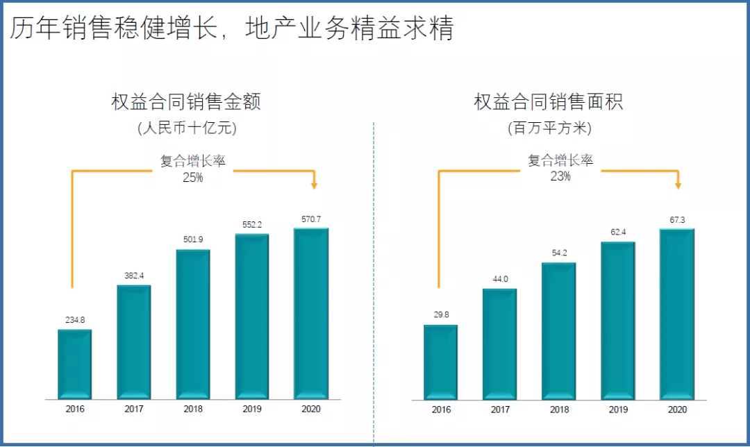 广东开关厂有限公司，历史沿革、业务发展与未来展望