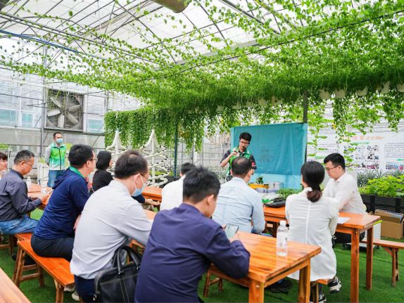 广东油茶苗有限公司，引领油茶产业的先锋力量