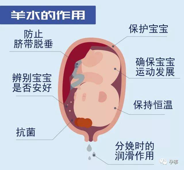 怀孕六个月羊水破裂，胎儿还有救吗？——深度探讨与希望之光