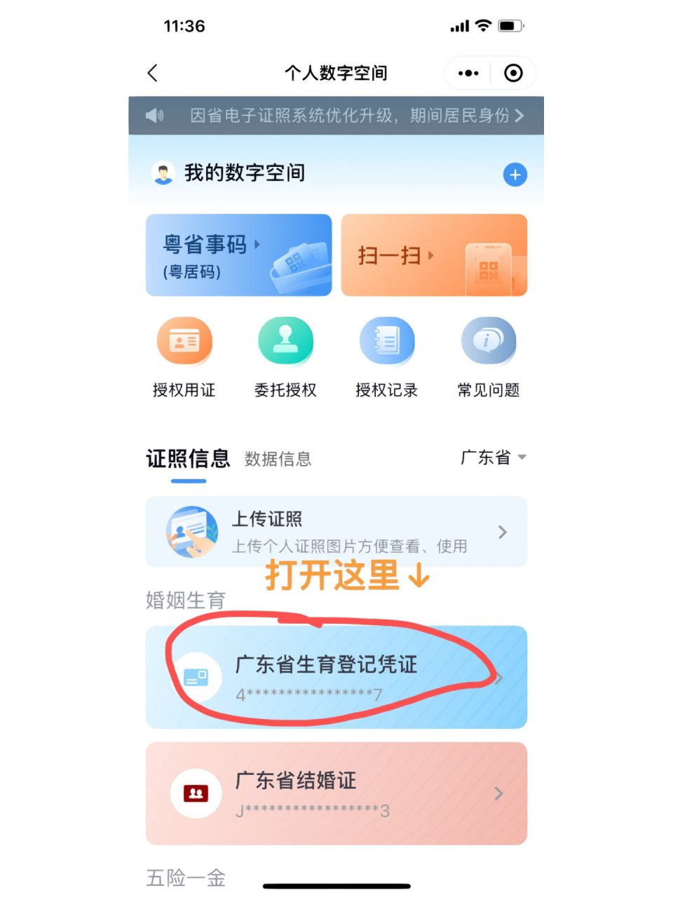 广东省准生证申请流程详解