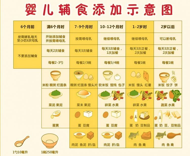 八个月宝宝辅食添加的丰富性与重要性