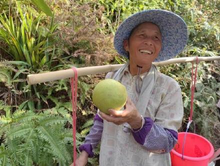 江苏锦威智能科技，引领科技创新，塑造未来智能生态