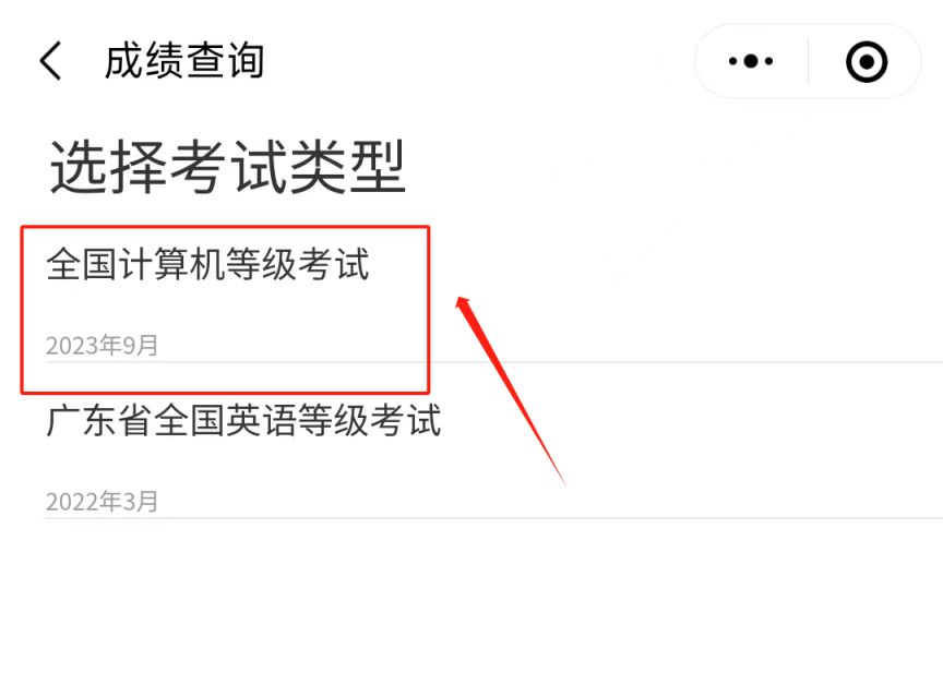 广东省计算机考试成绩，探索与解析