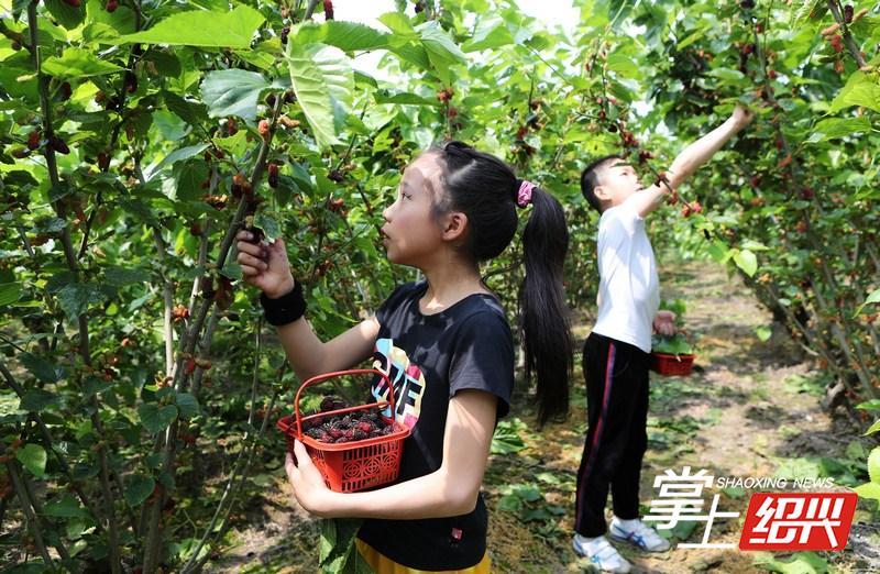 上虞房产均价，市场走势与影响因素分析