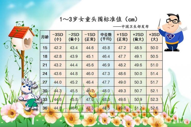 七个月宝宝头围标准详解